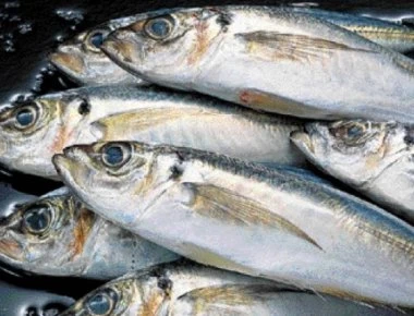 Αυτό είναι το ψάρι που μπορεί να προκαλέσει παραισθήσεις μέχρι και 36 ώρες (φωτο)